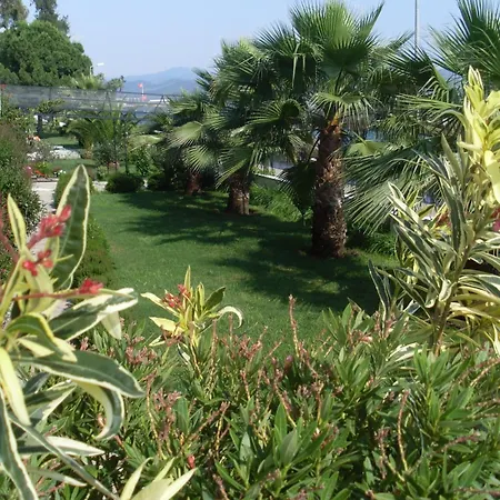 考诺斯酒店 3* Koycegiz (Mugla)