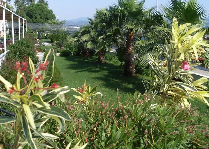 Kaunos 3* Кейджегиз